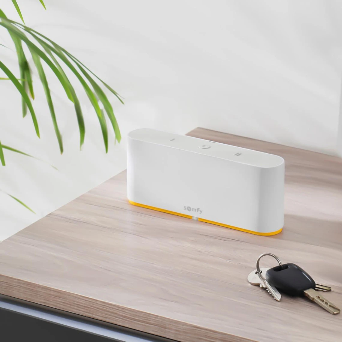 TaHoma Switch 4 TaHoma Switch – Image 4